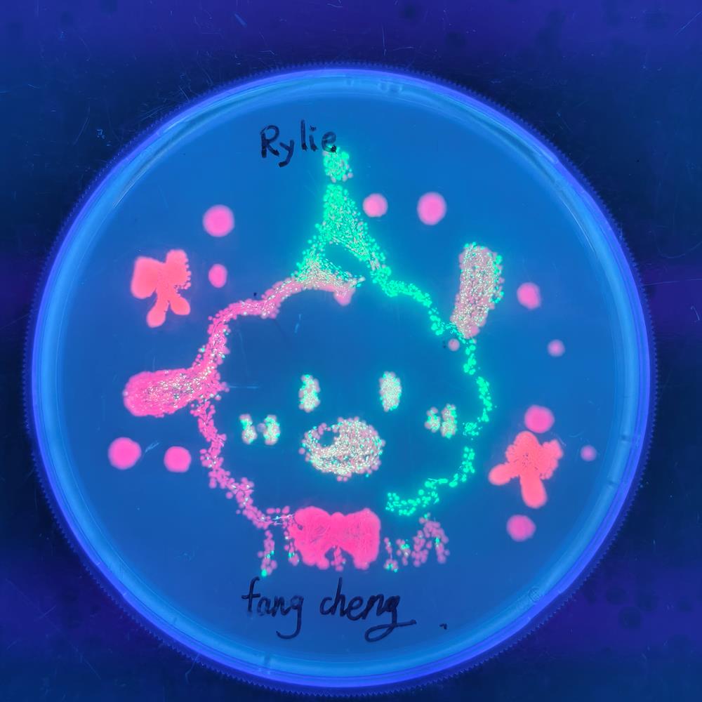 45020e395bdf4325a56975d64d636570.jpg 45020e395bdf4325a56975d64d636570.jpg